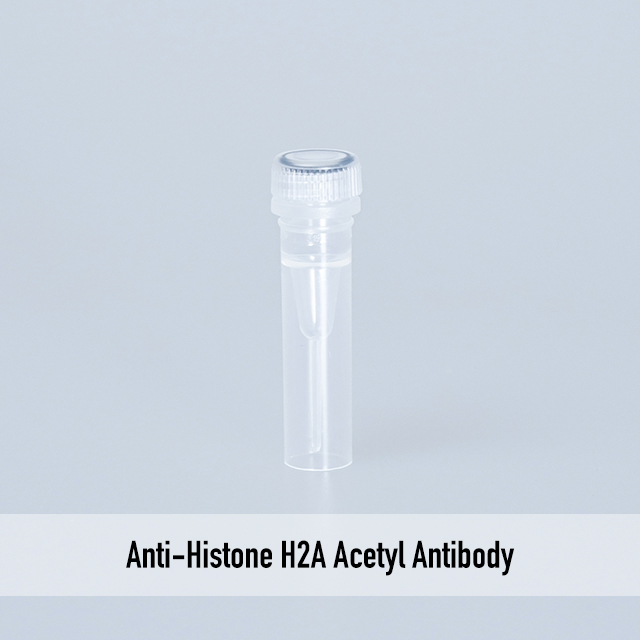 Anti-Histone H2A Acetyl Antibody