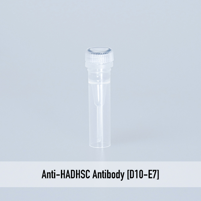 Anti-HADHSC Antibody [D10-E7]