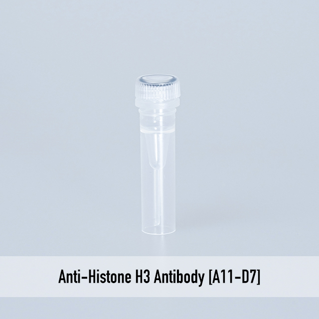 Anti-Histone H3 Antibody [A11-D7]