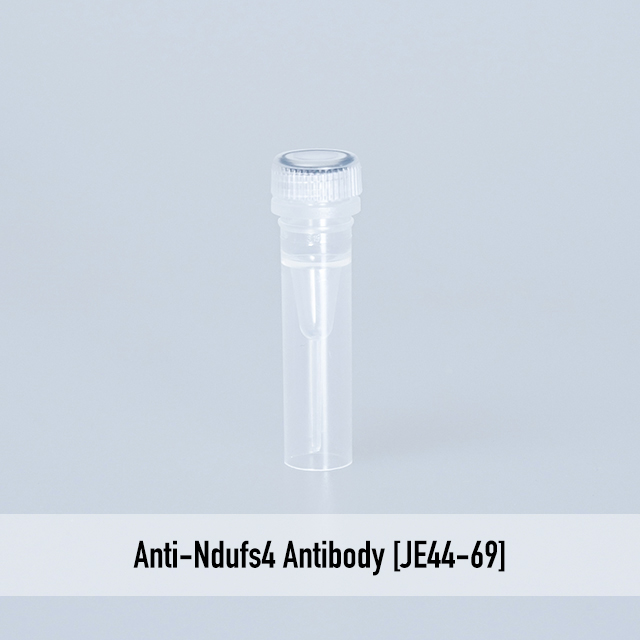 Anti-Ndufs4 Antibody [JE44-69]