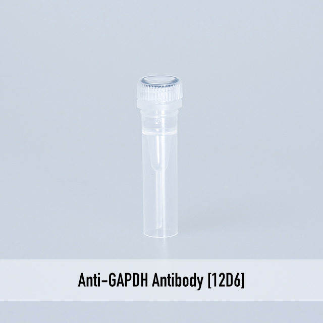 Anti-GAPDH Antibody [12D6]