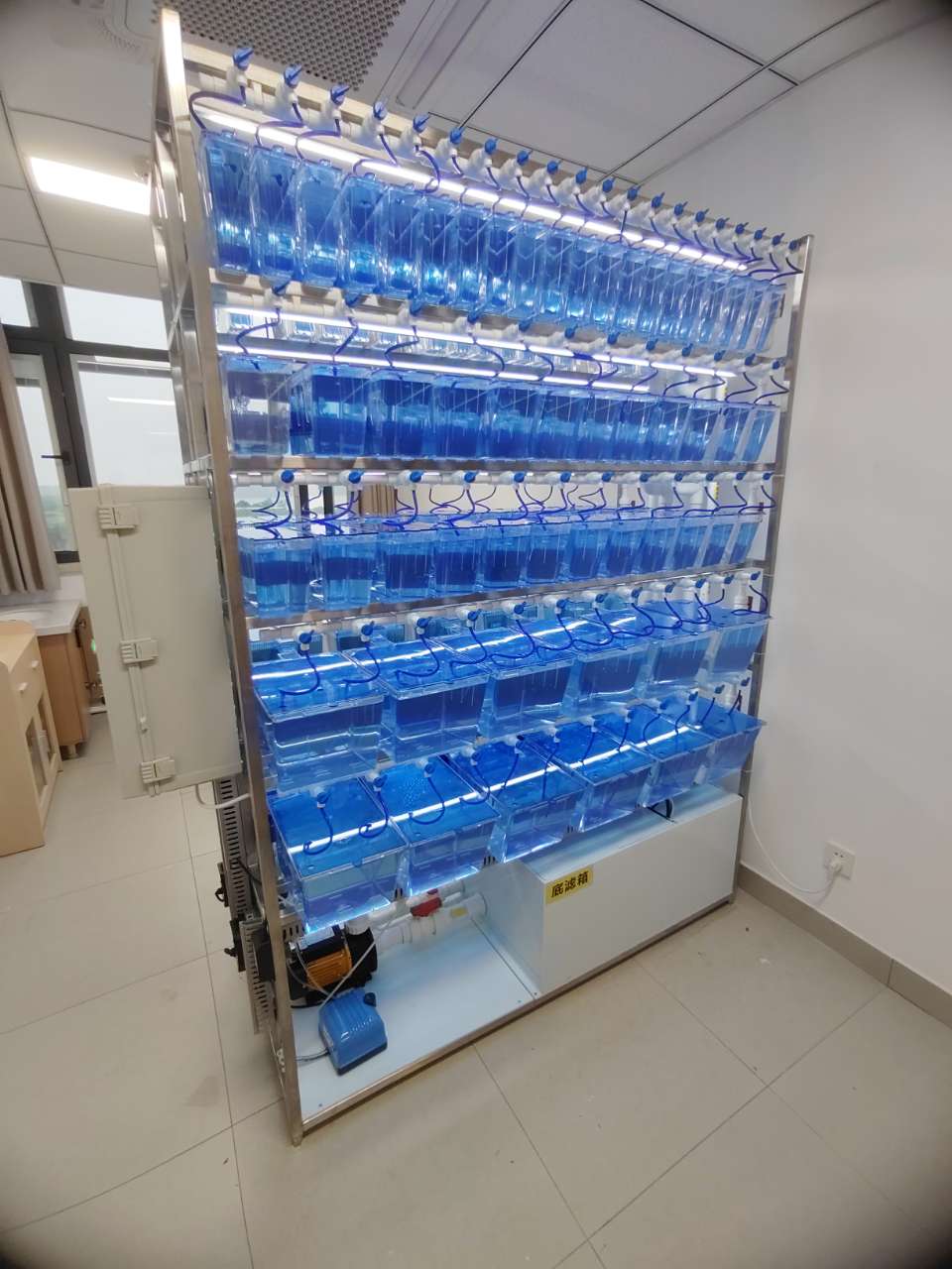 江南大学斑马鱼实验室