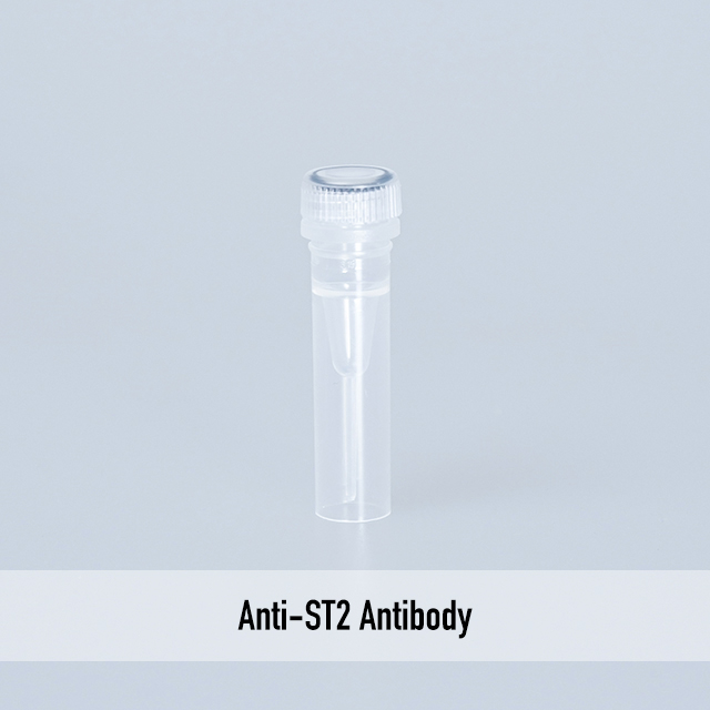 Anti-ST2 Antibody