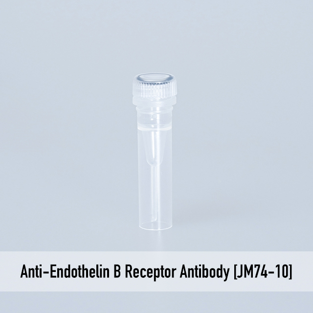 Anti-Endothelin B Receptor Antibody [JM74-10]