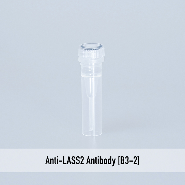 Anti-LASS2 Antibody [B3-2]