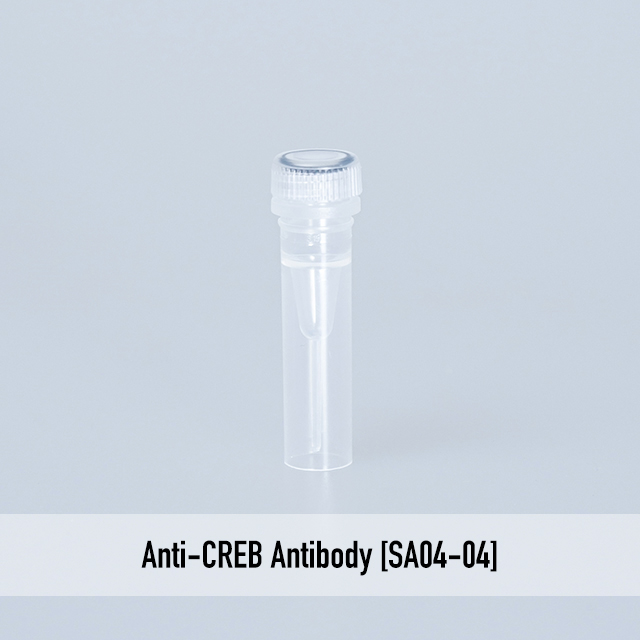 Anti-CREB Antibody [SA04-04]