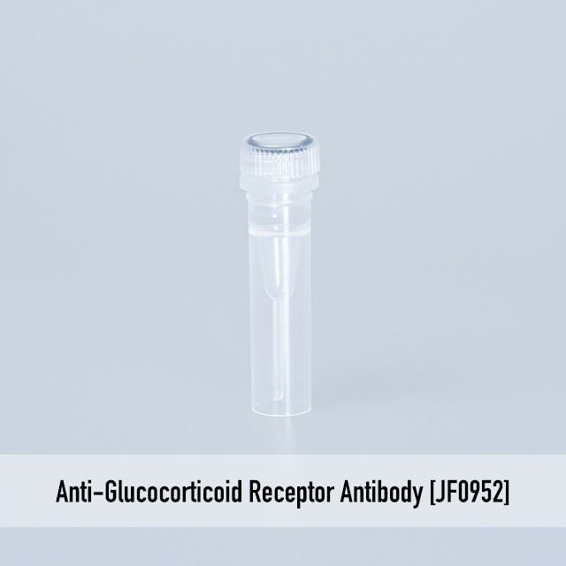 Anti-Glucocorticoid Receptor Antibody [JF0952]