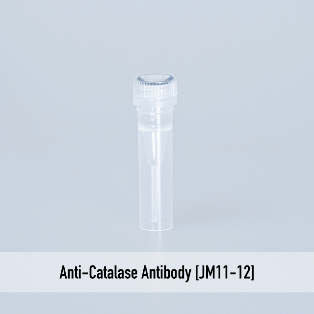 Anti-Catalase Antibody [JM11-12]