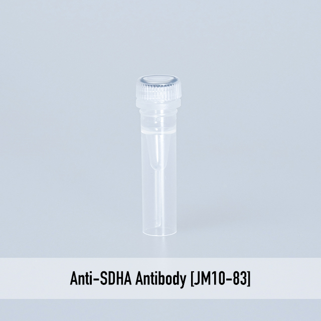 Anti-SDHA Antibody [JM10-83]