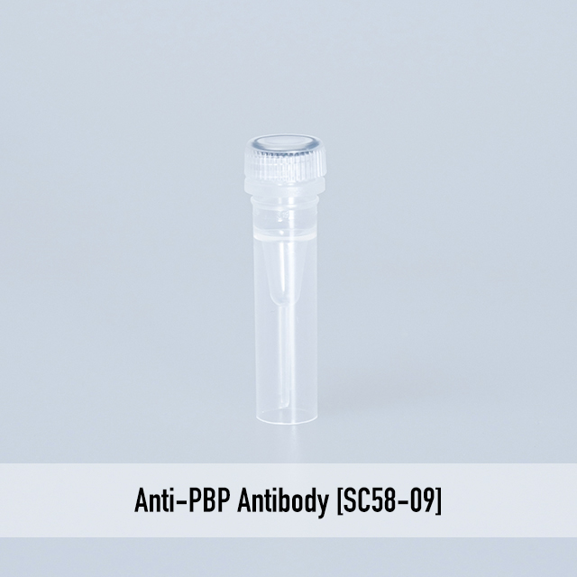 Anti-PBP Antibody [SC58-09]