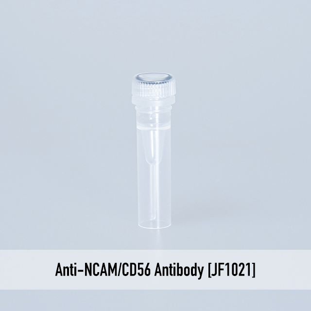 Anti-NCAM/CD56 Antibody [JF1021]